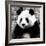 China 10MKm2 Collection - Giant Panda-Philippe Hugonnard-Framed Photographic Print