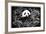 China 10MKm2 Collection - Giant Panda-Philippe Hugonnard-Framed Photographic Print