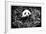 China 10MKm2 Collection - Giant Panda-Philippe Hugonnard-Framed Photographic Print