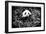 China 10MKm2 Collection - Giant Panda-Philippe Hugonnard-Framed Photographic Print