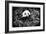 China 10MKm2 Collection - Giant Panda-Philippe Hugonnard-Framed Photographic Print