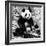 China 10MKm2 Collection - Giant Panda-Philippe Hugonnard-Framed Photographic Print