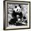 China 10MKm2 Collection - Giant Panda-Philippe Hugonnard-Framed Photographic Print