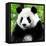 China 10MKm2 Collection - Giant Panda-Philippe Hugonnard-Framed Premier Image Canvas