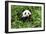 China 10MKm2 Collection - Giant Panda-Philippe Hugonnard-Framed Photographic Print