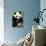 China 10MKm2 Collection - Giant Panda-Philippe Hugonnard-Photographic Print displayed on a wall