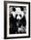 China 10MKm2 Collection - Giant Panda-Philippe Hugonnard-Framed Photographic Print