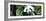 China 10MKm2 Collection - Giant Panda-Philippe Hugonnard-Framed Photographic Print