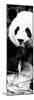 China 10MKm2 Collection - Giant Panda-Philippe Hugonnard-Mounted Photographic Print