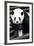 China 10MKm2 Collection - Giant Panda-Philippe Hugonnard-Framed Photographic Print