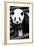 China 10MKm2 Collection - Giant Panda-Philippe Hugonnard-Framed Photographic Print