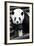 China 10MKm2 Collection - Giant Panda-Philippe Hugonnard-Framed Photographic Print