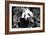 China 10MKm2 Collection - Giant Panda-Philippe Hugonnard-Framed Photographic Print