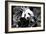 China 10MKm2 Collection - Giant Panda-Philippe Hugonnard-Framed Photographic Print