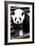 China 10MKm2 Collection - Giant Panda-Philippe Hugonnard-Framed Photographic Print