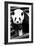 China 10MKm2 Collection - Giant Panda-Philippe Hugonnard-Framed Photographic Print