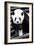 China 10MKm2 Collection - Giant Panda-Philippe Hugonnard-Framed Photographic Print