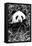 China 10MKm2 Collection - Giant Panda-Philippe Hugonnard-Framed Premier Image Canvas