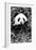 China 10MKm2 Collection - Giant Panda-Philippe Hugonnard-Framed Photographic Print