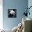 China 10MKm2 Collection - Giant Panda-Philippe Hugonnard-Framed Premier Image Canvas displayed on a wall