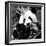 China 10MKm2 Collection - Giant Panda-Philippe Hugonnard-Framed Photographic Print