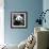 China 10MKm2 Collection - Giant Panda-Philippe Hugonnard-Framed Photographic Print displayed on a wall