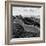 China 10MKm2 Collection - Great Wall of China-Philippe Hugonnard-Framed Photographic Print