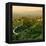 China 10MKm2 Collection - Great Wall of China-Philippe Hugonnard-Framed Premier Image Canvas