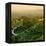 China 10MKm2 Collection - Great Wall of China-Philippe Hugonnard-Framed Premier Image Canvas