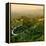 China 10MKm2 Collection - Great Wall of China-Philippe Hugonnard-Framed Premier Image Canvas