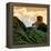 China 10MKm2 Collection - Great Wall of China-Philippe Hugonnard-Framed Premier Image Canvas