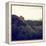 China 10MKm2 Collection - Great Wall of China-Philippe Hugonnard-Framed Premier Image Canvas