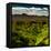 China 10MKm2 Collection - Great Wall of China-Philippe Hugonnard-Framed Premier Image Canvas