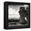 China 10MKm2 Collection - Great Wall of China-Philippe Hugonnard-Framed Premier Image Canvas