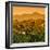 China 10MKm2 Collection - Great Wall of China-Philippe Hugonnard-Framed Photographic Print