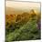 China 10MKm2 Collection - Great Wall of China-Philippe Hugonnard-Mounted Photographic Print