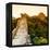 China 10MKm2 Collection - Great Wall of China-Philippe Hugonnard-Framed Premier Image Canvas