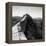 China 10MKm2 Collection - Great Wall of China-Philippe Hugonnard-Framed Premier Image Canvas