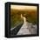 China 10MKm2 Collection - Great Wall of China-Philippe Hugonnard-Framed Premier Image Canvas