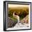 China 10MKm2 Collection - Great Wall of China-Philippe Hugonnard-Framed Photographic Print