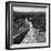 China 10MKm2 Collection - Great Wall of China-Philippe Hugonnard-Framed Photographic Print