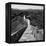 China 10MKm2 Collection - Great Wall of China-Philippe Hugonnard-Framed Premier Image Canvas