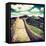 China 10MKm2 Collection - Great Wall of China-Philippe Hugonnard-Framed Premier Image Canvas