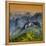 China 10MKm2 Collection - Guilin National Park at Sunset-Philippe Hugonnard-Framed Premier Image Canvas