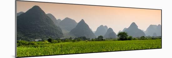 China 10MKm2 Collection - Karst Moutains in Yangshuo-Philippe Hugonnard-Mounted Photographic Print