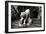 China 10MKm2 Collection - Lion - Buddhist Sculpture-Philippe Hugonnard-Framed Photographic Print