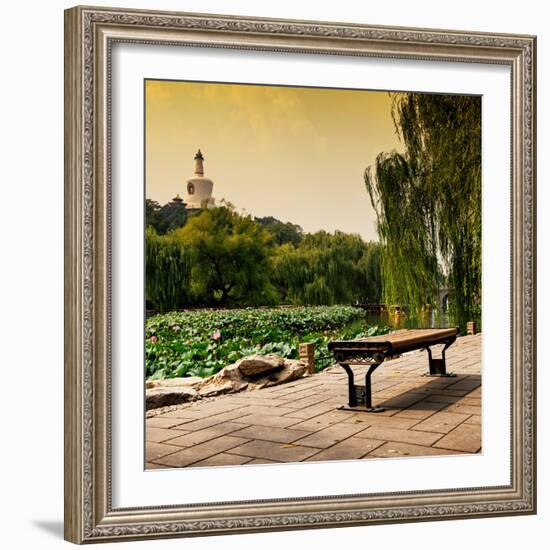 China 10MKm2 Collection - Lotus Flowers - Beihai Park - Beijing-Philippe Hugonnard-Framed Photographic Print