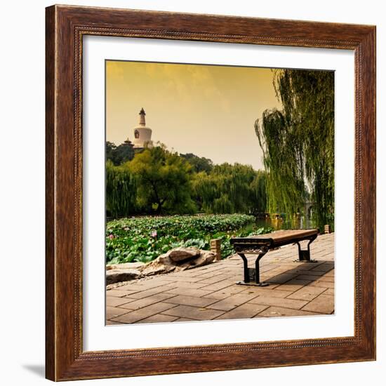 China 10MKm2 Collection - Lotus Flowers - Beihai Park - Beijing-Philippe Hugonnard-Framed Photographic Print