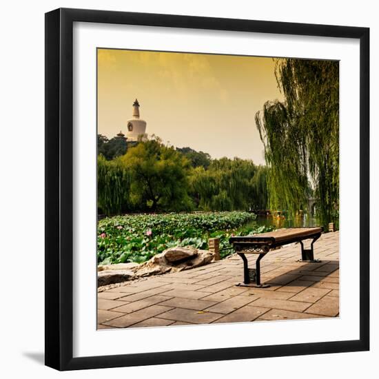 China 10MKm2 Collection - Lotus Flowers - Beihai Park - Beijing-Philippe Hugonnard-Framed Photographic Print