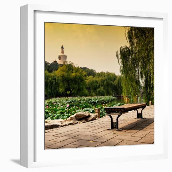 China 10MKm2 Collection - Lotus Flowers - Beihai Park - Beijing-Philippe Hugonnard-Framed Photographic Print